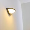 Applique murale d'extérieur Carano LED Noir, 1 lumière, Détecteur de mouvement