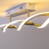 Plafonnier Paul Neuhaus POLINA LED Acier inoxydable, 2 lumières