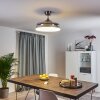 Ventilateur de plafond Bendigo LED Chrome, 1 lumière