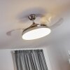 Ventilateur de plafond Bendigo LED Chrome, 1 lumière