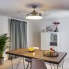 Ventilateur de plafond Bendigo LED Chrome, 1 lumière