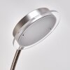 Lampadaire à vasque Veteli LED Blanc, 2 lumières