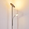 Lampadaire à vasque Veteli LED Blanc, 2 lumières