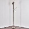 Lampadaire à vasque Veteli LED Blanc, 2 lumières