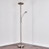Lampadaire à vasque Veteli LED Blanc, 2 lumières