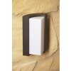 applique extérieure Trio SUEZ LED Noir, 1 lumière