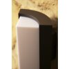 applique extérieure Trio SUEZ LED Noir, 1 lumière