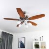 Ventilateur de plafond Irving Chrome, Gris, Bois clair, 5 lumières