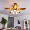 Ventilateur de plafond Irving Chrome, Gris, Bois clair, 5 lumières