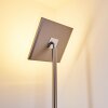 Lampadaire à vasque Veteli LED Acier inoxydable, 2 lumières