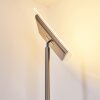 Lampadaire à vasque Veteli LED Acier inoxydable, 2 lumières