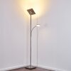 Lampadaire à vasque Veteli LED Acier inoxydable, 2 lumières