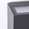 Applique murale d'extérieur Duluth LED Anthracite, 1 lumière