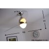 Ventilateur Globo PREMIER Acier inoxydable, Nickel mat, 2 lumières