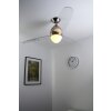 Ventilateur Globo PREMIER Acier inoxydable, Nickel mat, 2 lumières