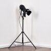Lampadaire Lichinga Noir, 1 lumière Lampadaire Lichinga Noir, 1 lumière