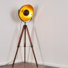 Lampadaire Jupiter Brun, Bois foncé, Noir, 1 lumière