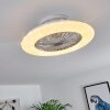 Ventilateur de plafond Piraeus LED Titane, Blanc, 1 lumière, Télécommandes