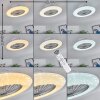 Ventilateur de plafond Piraeus LED Titane, Blanc, 1 lumière, Télécommandes