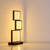 Lampe de table Bacolod LED Noir, 1 lumière