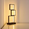 Lampe de table Bacolod LED Noir, 1 lumière