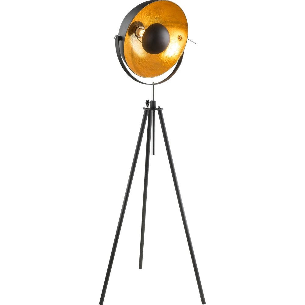 Lampadaire Globo LENN Noir, 1 lumière main product photo