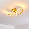 Plafonnier Woyens LED Or, 1 lumière