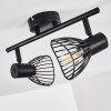 Plafonnier Holbol Noir, 2 lumières