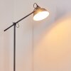 Lampadaire Luven Gris, 1 lumière