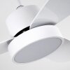 Ventilateur de plafond Doha LED Blanc, 1 lumière, Télécommandes
