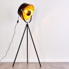 Lampadaire Jupiter Noir doré, 1 lumière