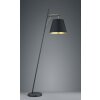 Lampadaire Trio ANDREUS Noir, 1 lumière