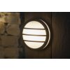 Applique extérieure LUTEC SEINE Anthracite, 1 lumière