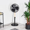Ventilateur Markham Bois clair, Noir