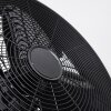 Ventilateur Markham Bois clair, Noir