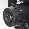 Ventilateur Markham Bois clair, Noir