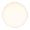 Plafonnier Globo JENNY LED Blanc, 1 lumière