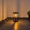 Borne lumineuse Baoshan Noir, 1 lumière