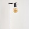 Lampadaire Pamunkey Noir, 1 lumière