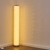 Lampadaire Tumba LED Blanc, 1 lumière, Télécommandes, Changeur de couleurs