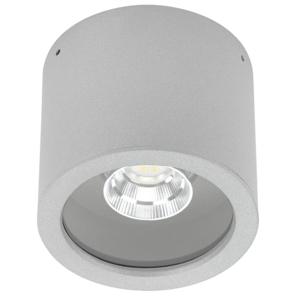 Spot de plafond Albert 2319 LED Argenté, 1 lumière main product photo