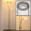 Lampadaire à vasque Watino LED Nickel mat, 3 lumières