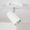 Plafonnier Zuoz Blanc, 1 lumière