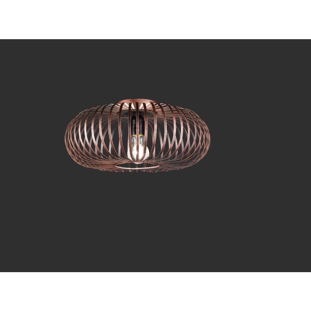 Plafonnier Trio-Leuchten Johann Cuivre, 1 lumière main product photo