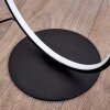 Lampadaire Rodekro LED Noir, 1 lumière
