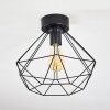 Plafonnier Cenova Noir, 1 lumière