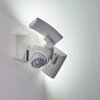 Applique murale d'extérieur Foroyar LED Blanc, 2 lumières, Détecteur de mouvement