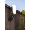 Applique murale d'extérieur Lutec BATI LED Anthracite, 1 lumière, Détecteur de mouvement