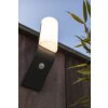 Applique murale d'extérieur Lutec BATI LED Anthracite, 1 lumière, Détecteur de mouvement