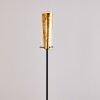 Lampadaire Tegna Noir doré, 1 lumière